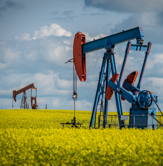 Oil drilling in a field
